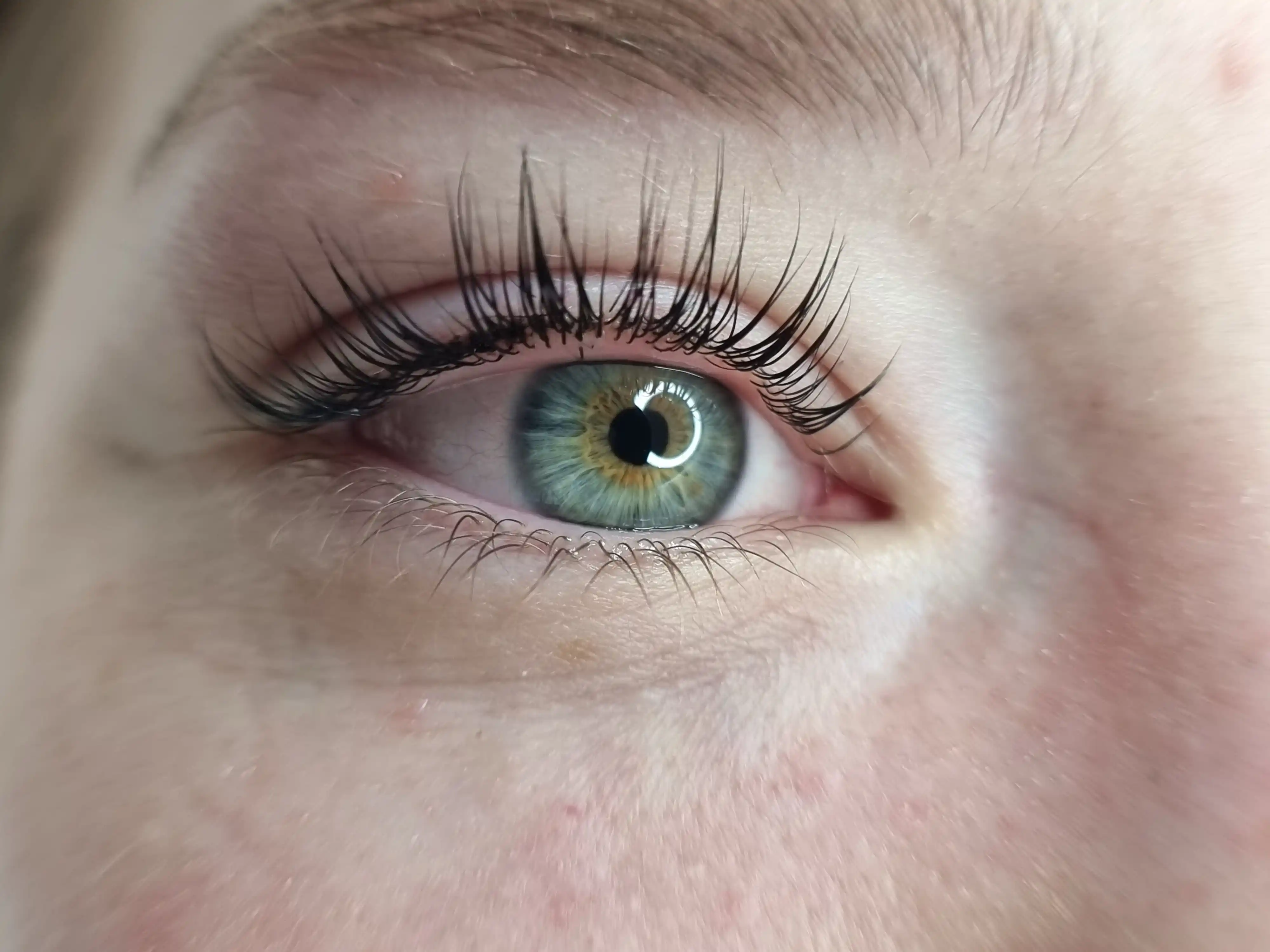 Wimpern